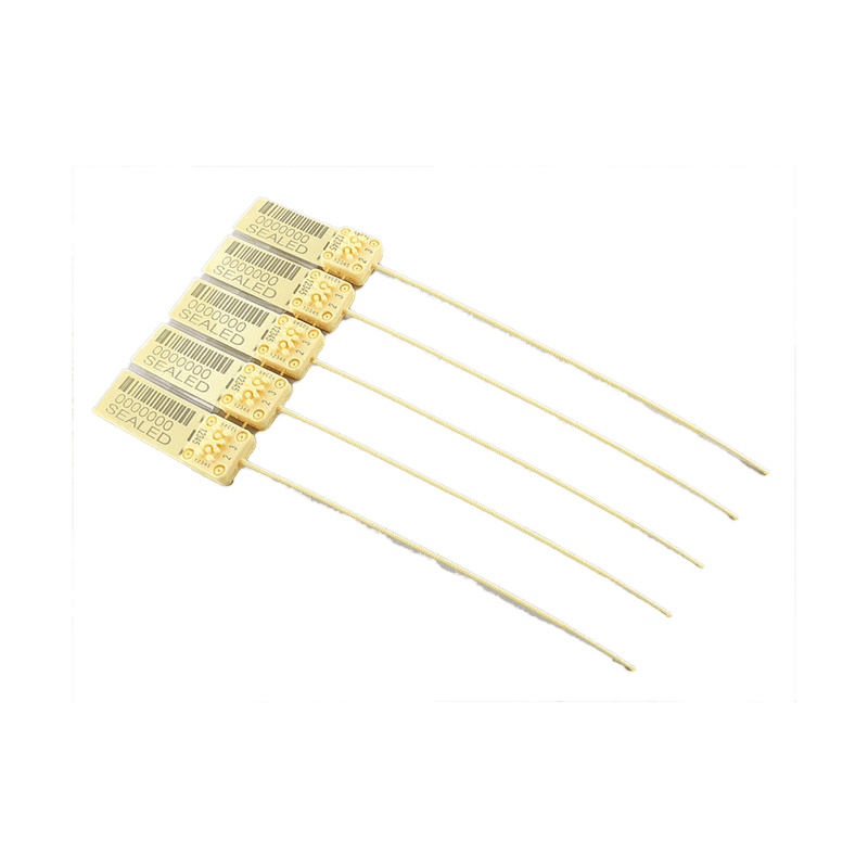 Segundo