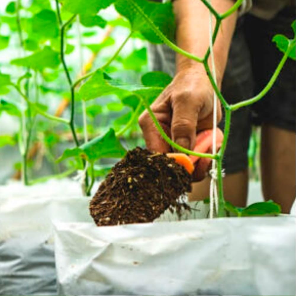 bolsas-para-viveros-rivus